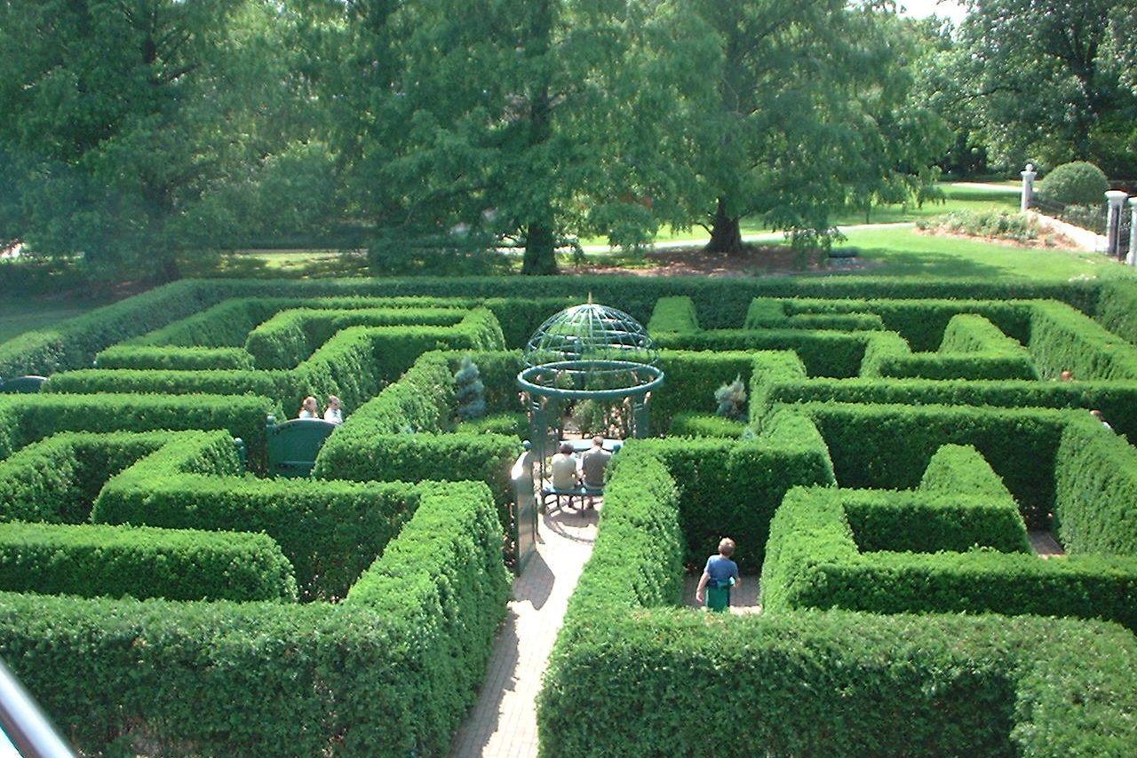 A hedge maze seen from above